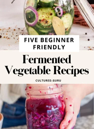 Ten easy fermented vegetable recipes for beginners - quick and healthy fermentation ideas