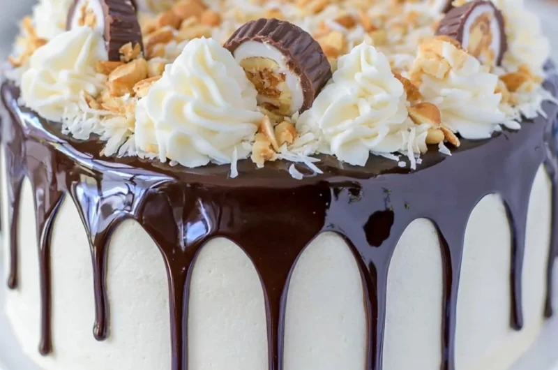 Delicious Almond Joy Layer Cake with chocolate, coconut, and almond layers.