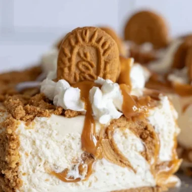 No bake Cookie Butter Cheesecake topped with cookie butter and whipped cream