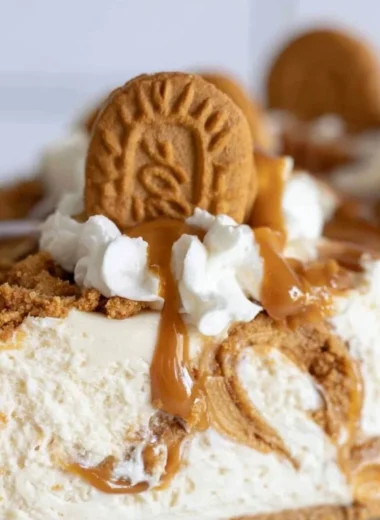 No bake Cookie Butter Cheesecake topped with cookie butter and whipped cream