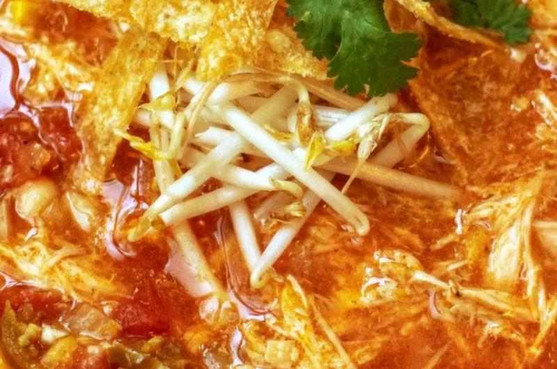 Bowl of delicious Crock Pot Chicken Tortilla Soup garnished with tortilla strips.