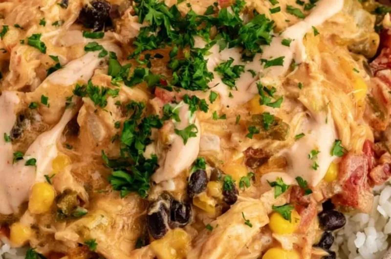 Plate of flavorful Festival Chicken with spices and garnishes