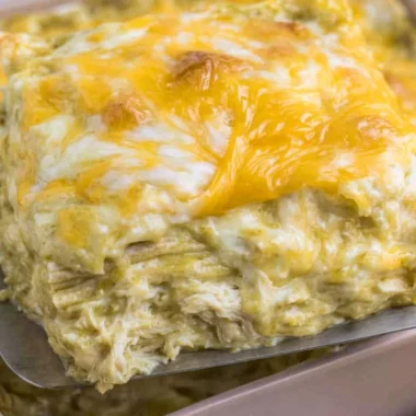 Plate of green chili chicken enchiladas topped with cheese and fresh cilantro